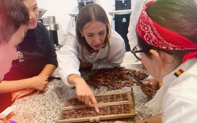 20002-Maak kennis met ambachtelijke chocolade maken