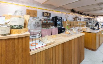 6414-Découvrez la botanique lors d’une balade en ville