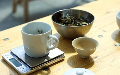 15616-Learn the art of kombucha, fermented tea, with Céline and Guillaume.