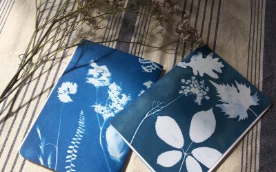 16 097-Décorez votre couverture du carnet en cyanotype avec Marie