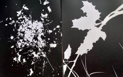 20013-Découvrez tous nos ateliers qui gravitent autour de la photographie argentique comme nulle part ailleurs.