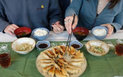 14973-Learn the art of gyozas with Miku and Sachiyo