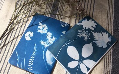 16097-Decorate your notebook cover with cyanotype with Marie