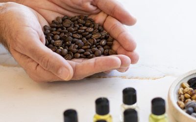 20008-From field to cup: discover the secrets of the coffee chain and learn to smell, taste, and develop your senses around coffee.