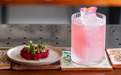 20012-Learn the basics with tips and tricks from professionals