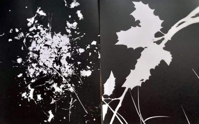 20013-Discover all our workshops dedicated to film photography like nowhere else.