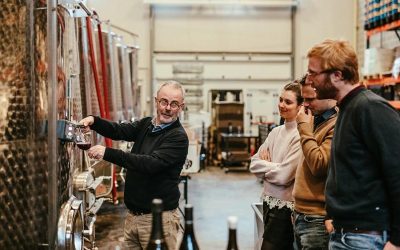 4748-Sample organic wines, made in Brussels, in an urban winery