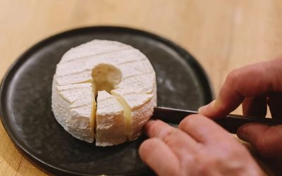 6025-Introduction to cheese tasting