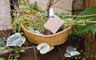 7044-Create three herbal body care products using the art of drying