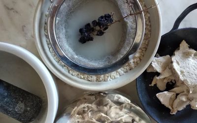 7045-Make three gourmet plant-based products